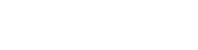 Junta